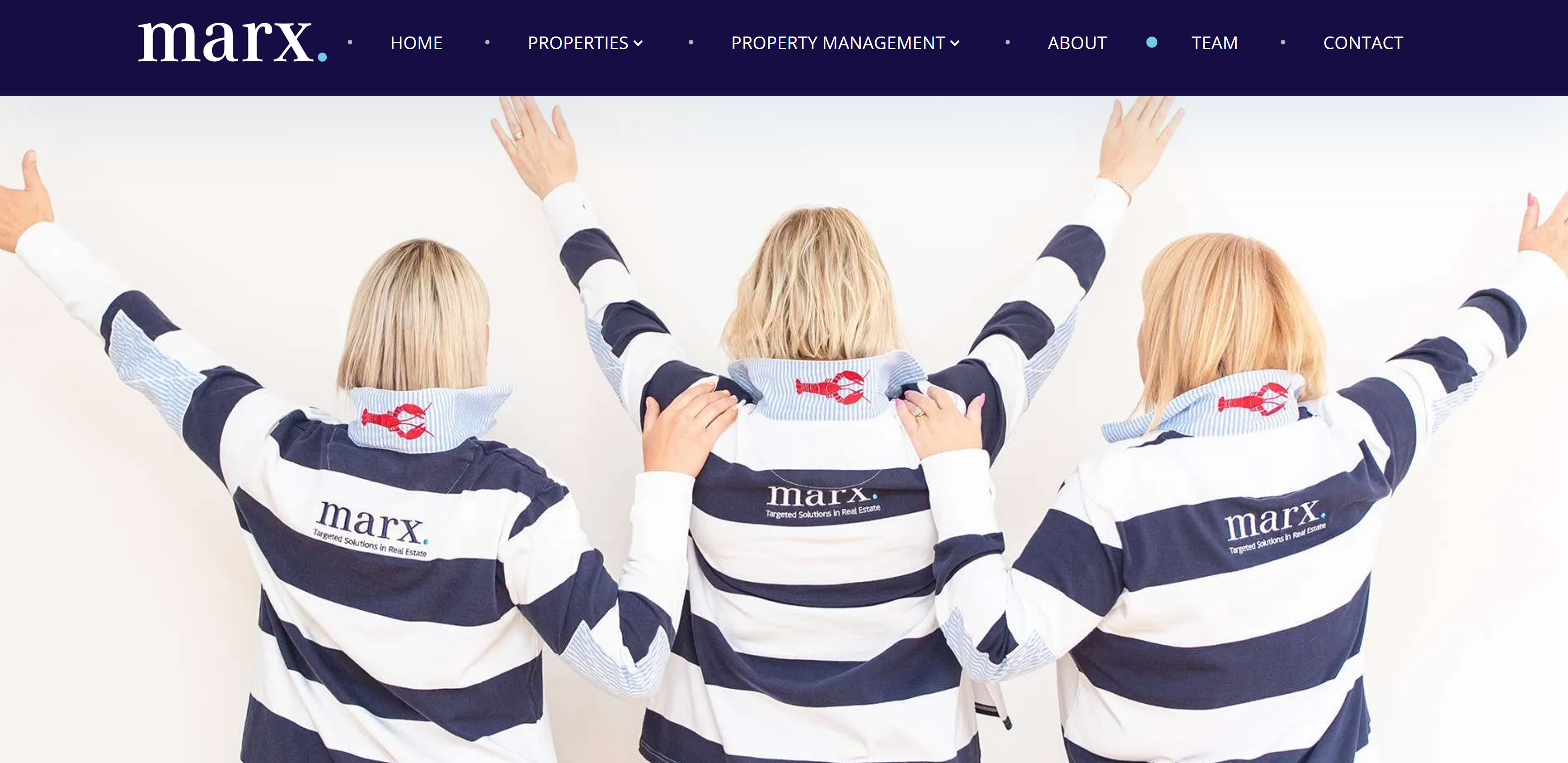 Website design - our projects