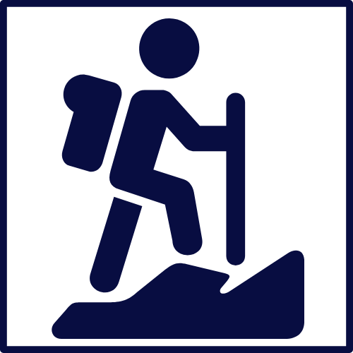 Logo and Business Branding Services